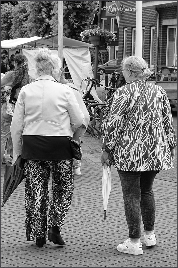 Bonte Schaap Festival, Rheden (08Jun25)